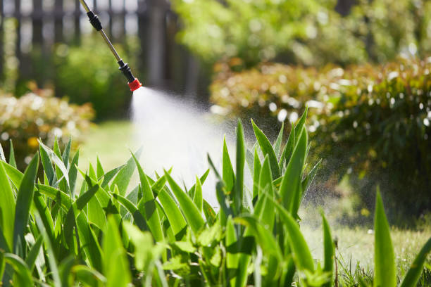 Tamper-Resistant Bait Stations for Rodents in Lindale
