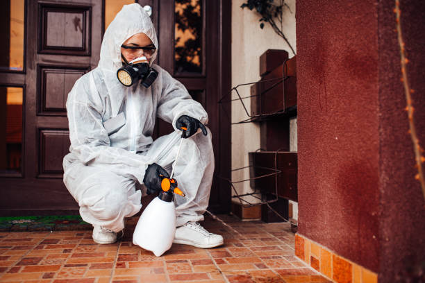 Attic and Crawl Space Rodent Treatment in Lindale